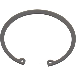 SKF Front Wheel Bearing Retainer for 2004 Acura TSX - CIR48