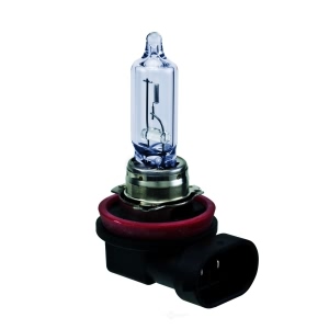 Hella Performance Series Halogen Light Bulb for 2008 Chevrolet Corvette - H9 2.0TB