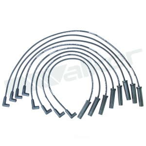 Walker Products Spark Plug Wire Set for Chevrolet C20 Suburban - 924-1415