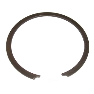 SKF Front Wheel Bearing Lock Ring for Ford Escort - CIR113