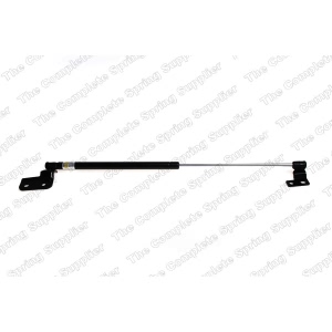 lesjofors Driver Side Liftgate Lift Support - 8144214