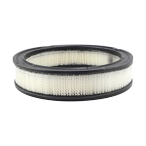 Hastings Air Filter for 1984 Jeep Grand Wagoneer - AF41