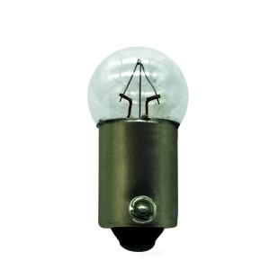 Hella Standard Series Incandescent Miniature Light Bulb for 1987 Jeep Wrangler - 1445