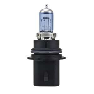 Hella Hb1 Design Series Halogen Light Bulb for Infiniti - H71070327