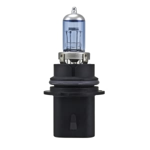 Hella Hb1 Design Series Halogen Light Bulb for 2001 Dodge Ram 1500 Van - H71070327