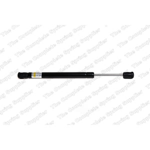 lesjofors Trunk Lid Lift Support for Audi A6 - 8104230