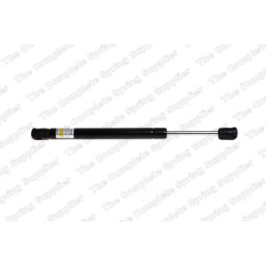 lesjofors Trunk Lid Lift Support for Audi S6 - 8104230