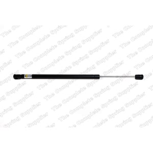 lesjofors Liftgate Lift Support for 2004 Ford Focus - 8127557
