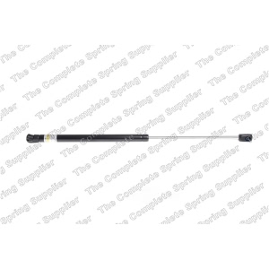 lesjofors Hood Lift Support for 2015 Audi Q7 - 8004225