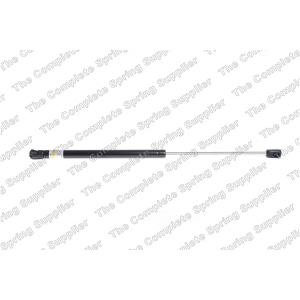 lesjofors Hood Lift Support for Audi - 8004225