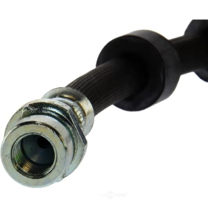 Centric Front Brake Hose for 1999 Mercury Mystique - 150.61076