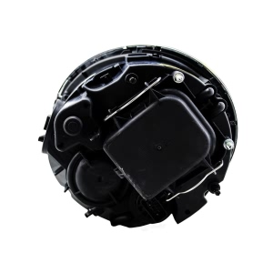 Hella Headlight Assembly for Mini Cooper - 010068021