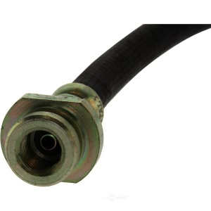 Centric Front Brake Hose for 1985 Nissan Stanza - 150.42016