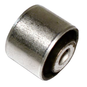 Delphi Front Lower Outer Control Arm Bushing for 2002 Audi A4 Quattro - TD475W