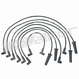 Walker Products Spark Plug Wire Set for Pontiac Parisienne - 924-1355