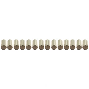 National Transmission Needle Bearing Needle Rollers for Ford - O-513-Q