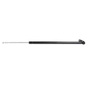 StrongArm Passenger Side Liftgate Lift Support for Toyota Van - 4822