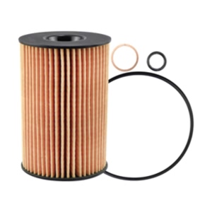 Hastings Engine Oil Filter Element for 2019 BMW M6 Gran Coupe - LF665