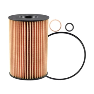 Hastings Engine Oil Filter Element for 2014 BMW 650i xDrive Gran Coupe - LF665