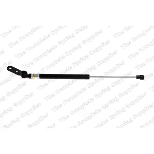 lesjofors Driver Side Liftgate Lift Support for Kia - 8144218