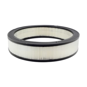 Hastings Air Filter for 1985 Buick Riviera - AF110