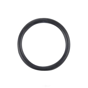 Spectra Premium Fuel Tank Lock Ring for Ford - LO54