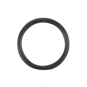 Spectra Premium Fuel Tank Lock Ring for Ford Thunderbird - LO54