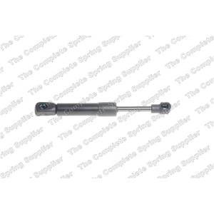 lesjofors Trunk Lid Lift Support for 2014 Porsche 911 - 8169714