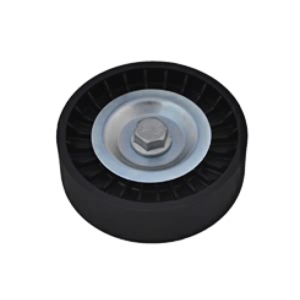 VAICO V-Ribbed Belt Guide Pulley - V50-0029