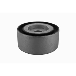 VAICO Rear Differential Mount Bushing for Mercedes-Benz S600 - V30-1254