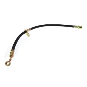 Centric Rear Passenger Side Brake Hose for 2006 Acura TSX - 150.40361