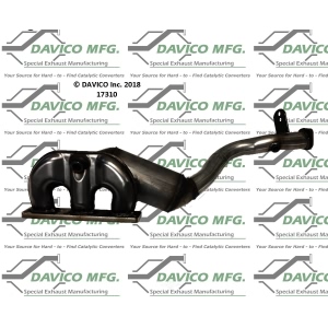 Davico Exhaust Manifold with Integrated Catalytic Converter for 2005 BMW X3 - 17310