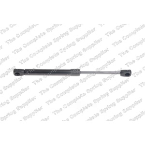 lesjofors Hood Lift Support for 2014 Porsche Cayman - 8069708