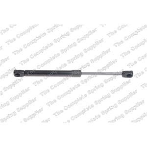 lesjofors Hood Lift Support for Porsche Boxster - 8069708