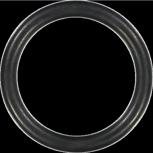 Victor Reinz Engine Coolant Thermostat Seal for 2010 Kia Forte Koup - 41-76918-00