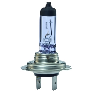 Hella Fog Light Bulb for 2012 Porsche Cayenne - H83145111
