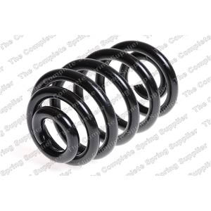 lesjofors Rear Coil Springs for 2005 BMW X3 - 4208459