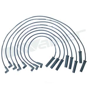 Walker Products Spark Plug Wire Set for Chevrolet C20 - 924-1427