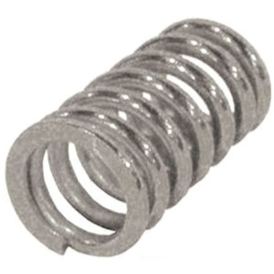 Bosal Manifold Spring - 251-001