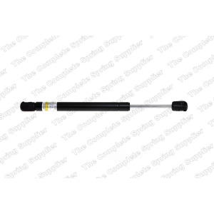 lesjofors Trunk Lid Lift Support for 2008 Audi RS4 - 8104232