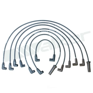 Walker Products Spark Plug Wire Set for GMC G2500 - 924-1515