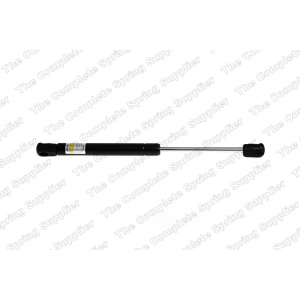 lesjofors Trunk Lid Lift Support for 2002 Audi A4 - 8104234