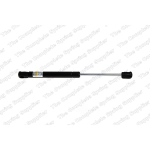 lesjofors Trunk Lid Lift Support for 2004 Audi RS6 - 8104234