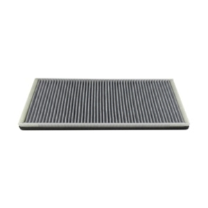 Hastings Cabin Air Filter for 2004 BMW X5 - AFC1391