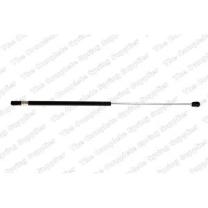 lesjofors Hood Lift Support for 2010 Volkswagen Passat - 8095011