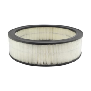Hastings Air Filter for Chevrolet Monte Carlo - AF145