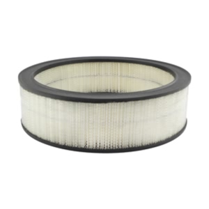 Hastings Air Filter for 1987 Pontiac Safari - AF145