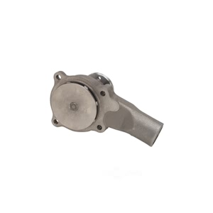 Dayco Engine Coolant Water Pump for Chevrolet S10 - DP816