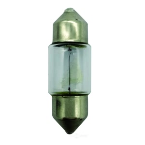 Hella De3175 Standard Series Incandescent Miniature Light Bulb for 1990 Toyota Tercel - DE3175