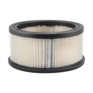 Hastings Air Filter for Fiat - AF24